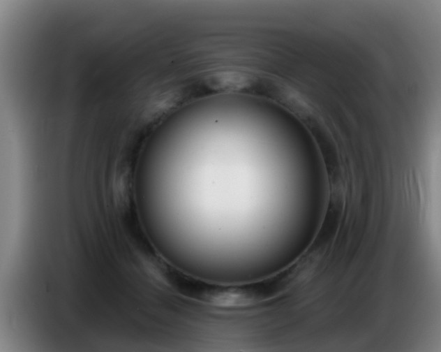 X0000086800460200704201907