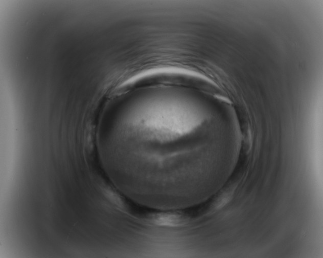 X0000086800462200704201907