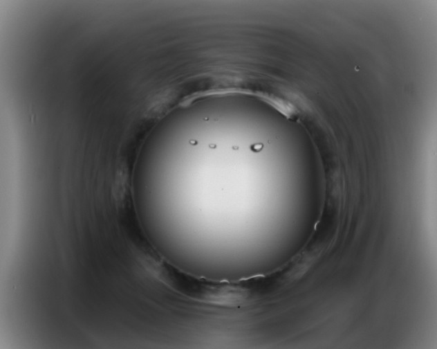 X0000086800463200704201907