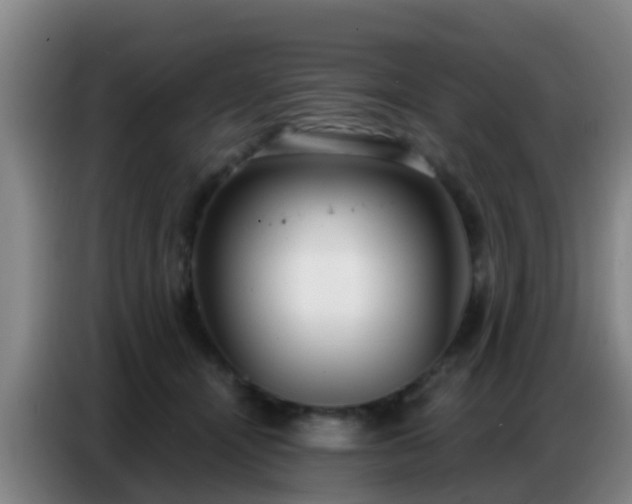 X0000086800464200704201907