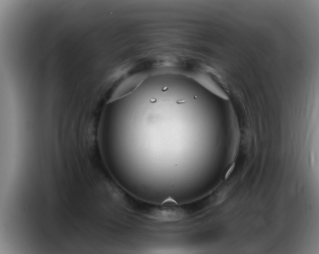 X0000086800466200704201907