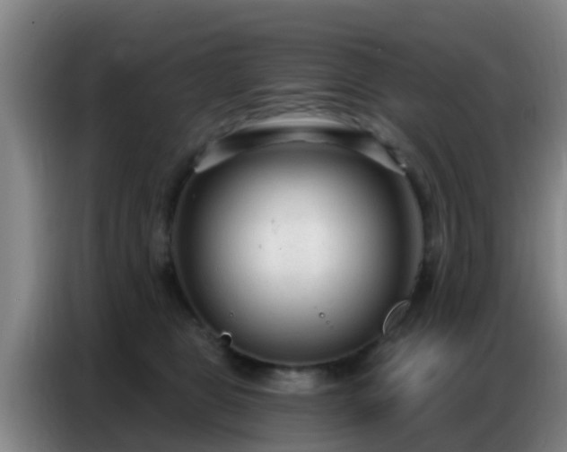 X0000086800469200704201907