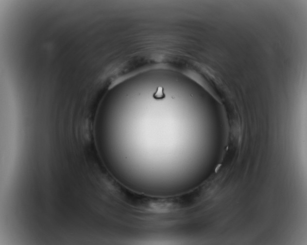 X0000086800470200704201907