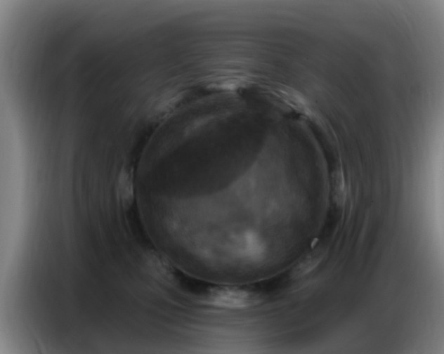 X0000086800471200704201907