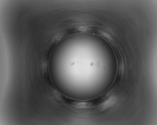 X0000086800473200704201907