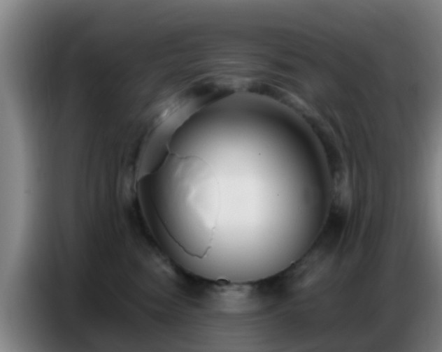 X0000086800474200704201907