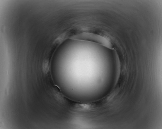 X0000086800478200704201907