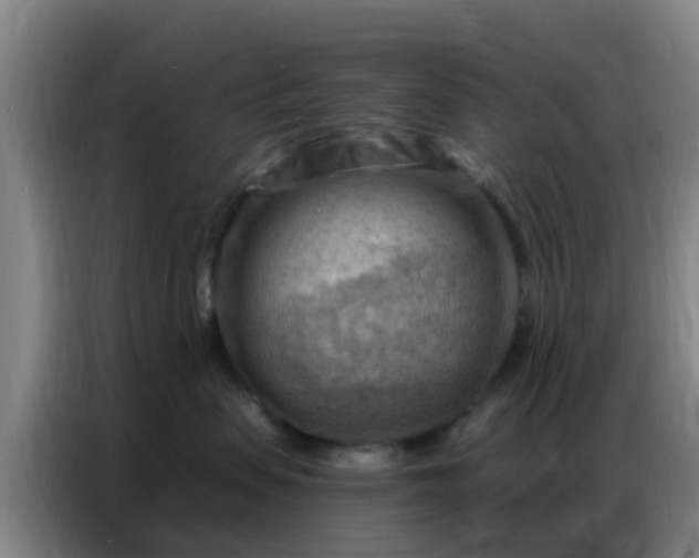 X0000086800479200704201907