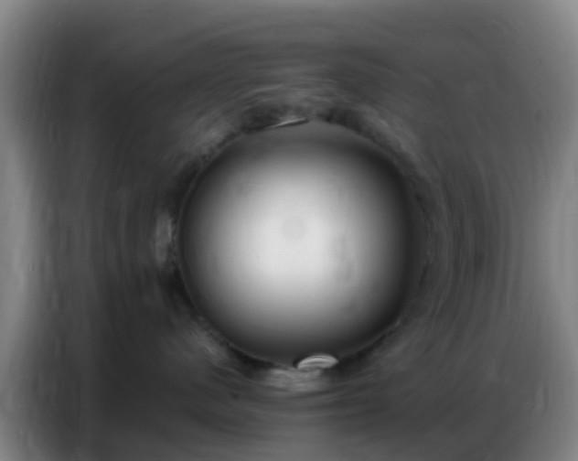 X0000086800480200704201907