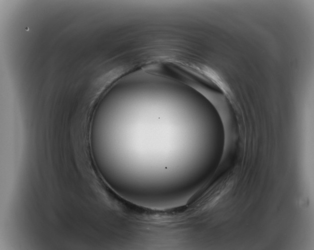 X0000086800481200704201906