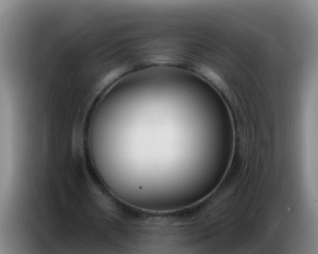 X0000086800482200704201906