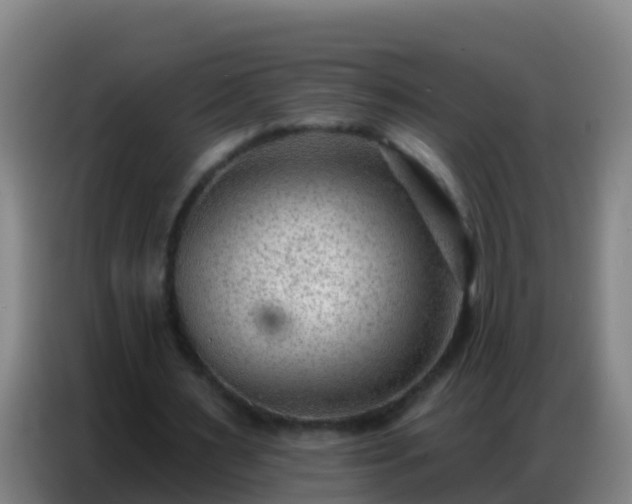 X0000086800483200704201906