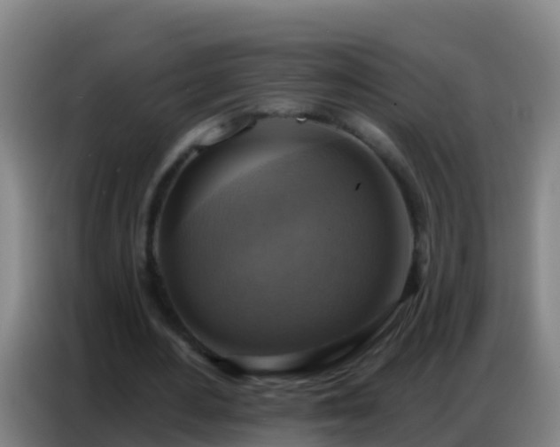 X0000086800484200704201906