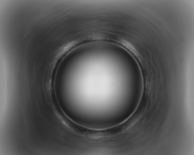 X0000086800485200704201906
