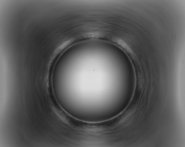 X0000086800486200704201906