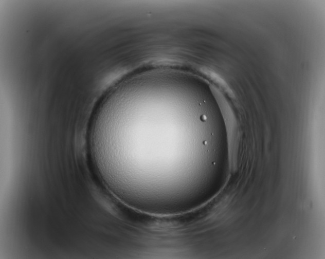 X0000086800487200704201906