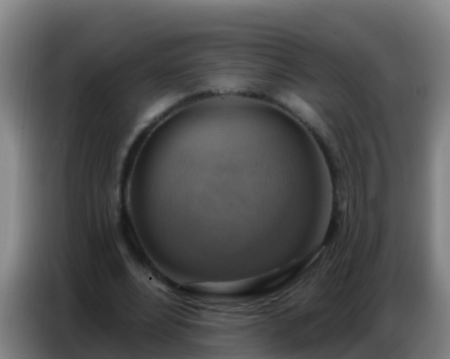 X0000086800488200704201906