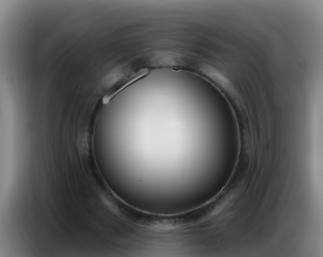 X0000086800489200704201906