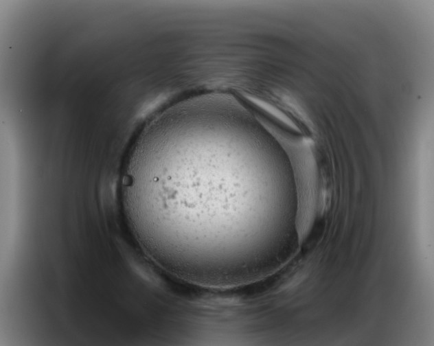 X0000086800491200704201906