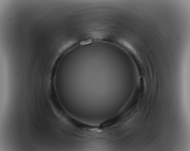 X0000086800492200704201906