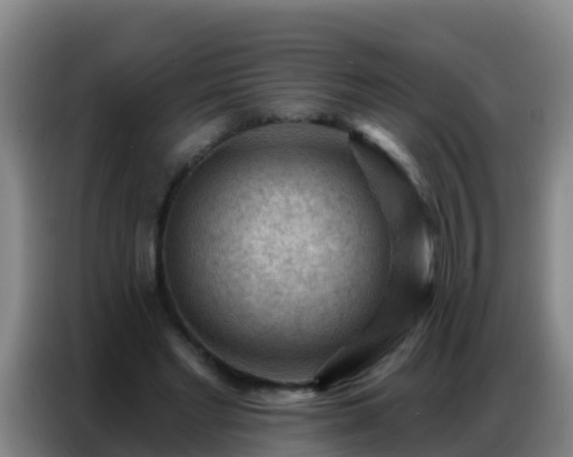 X0000086800493200704201906