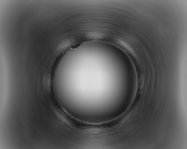 X0000086800494200704201906