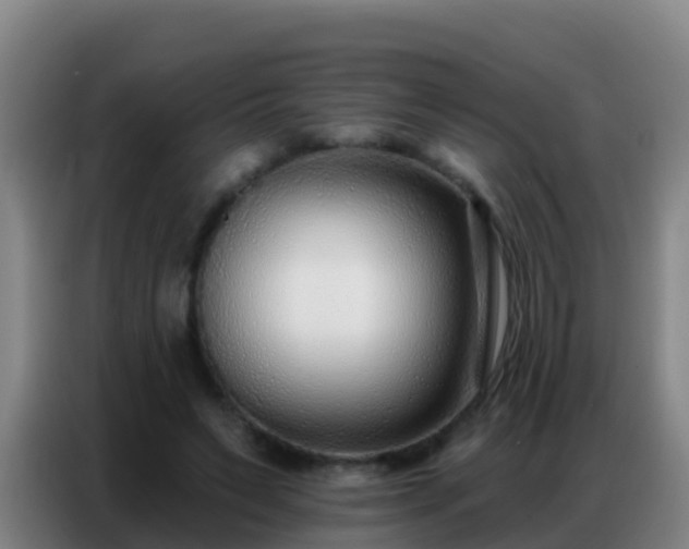 X0000086800495200704201906