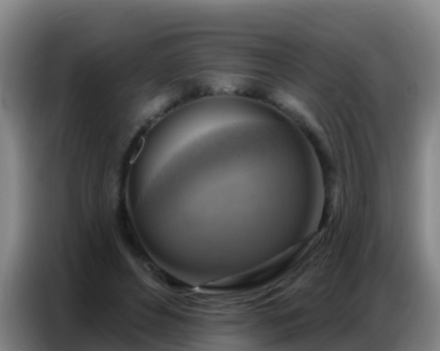 X0000086800496200704201906