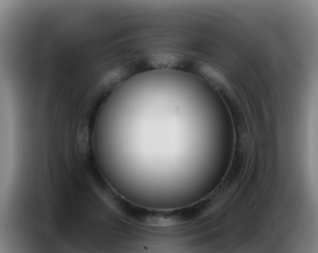 X0000086800498200704201906