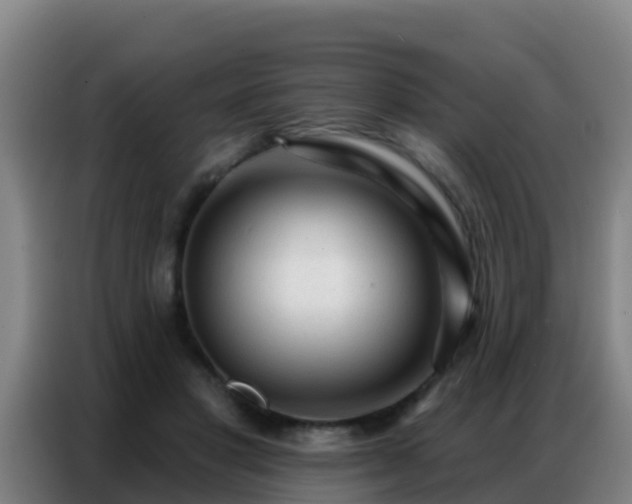 X0000086800501200704201906