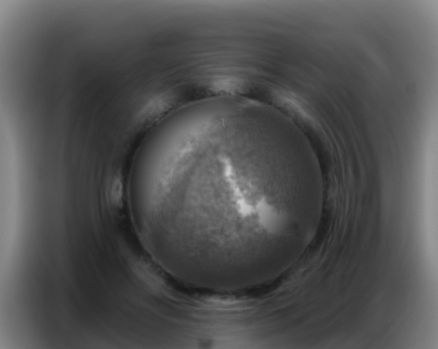 X0000086800502200704201906