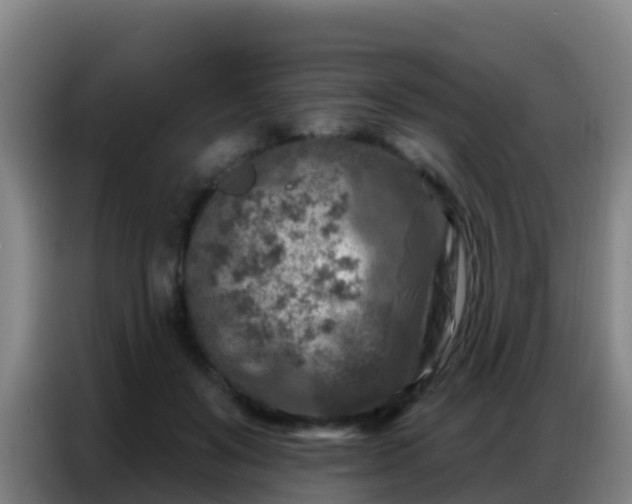 X0000086800503200704201906