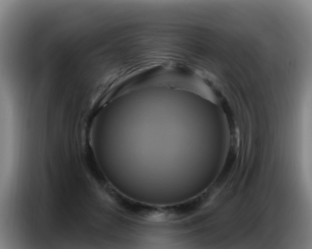 X0000086800504200704201906