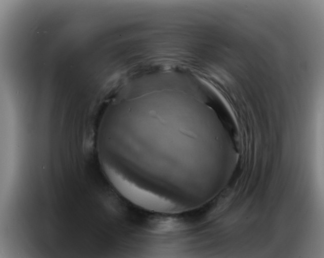 X0000086800507200704201906