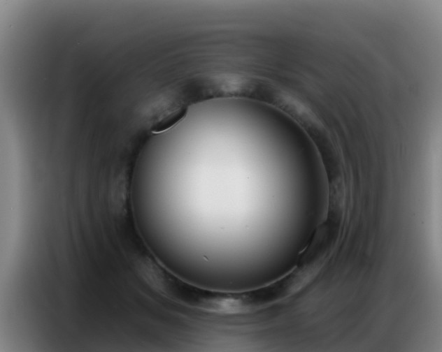 X0000086800509200704201906
