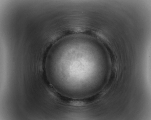 X0000086800512200704201906