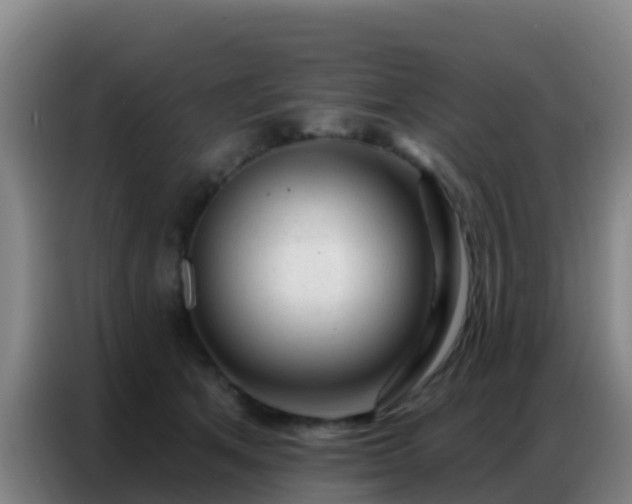 X0000086800513200704201906