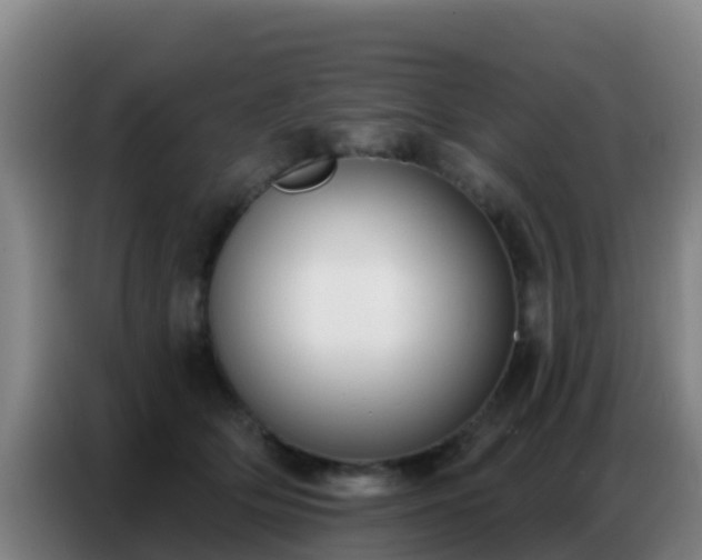 X0000086800514200704201906