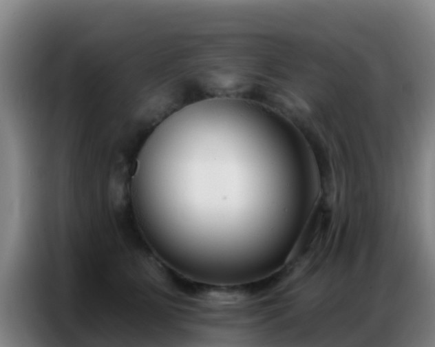 X0000086800515200704201906