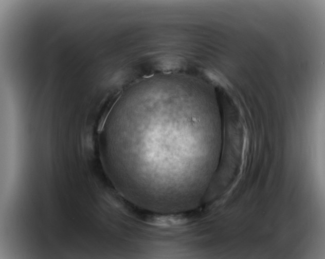 X0000086800516200704201906