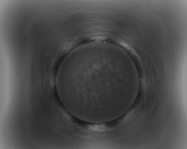 X0000086800517200704201906