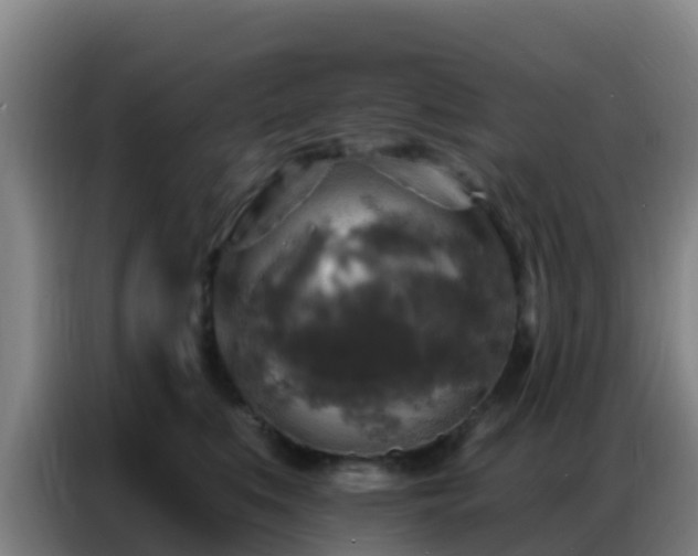 X0000086800519200704201906