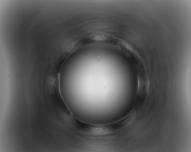 X0000086800521200704201906
