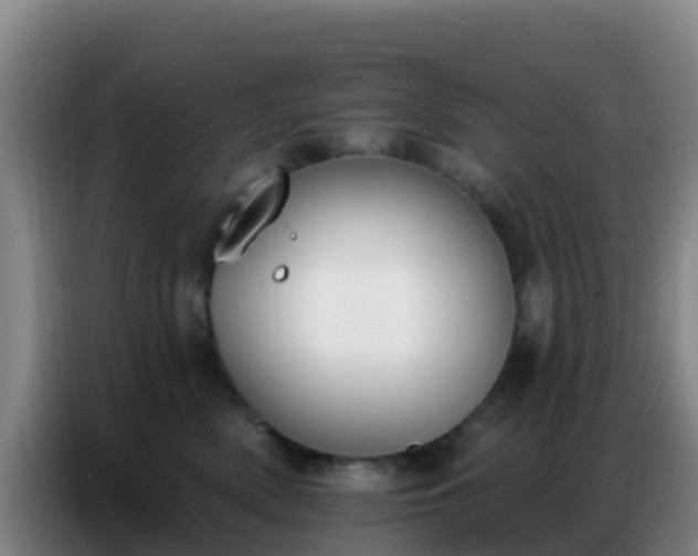 X0000086800522200704201906