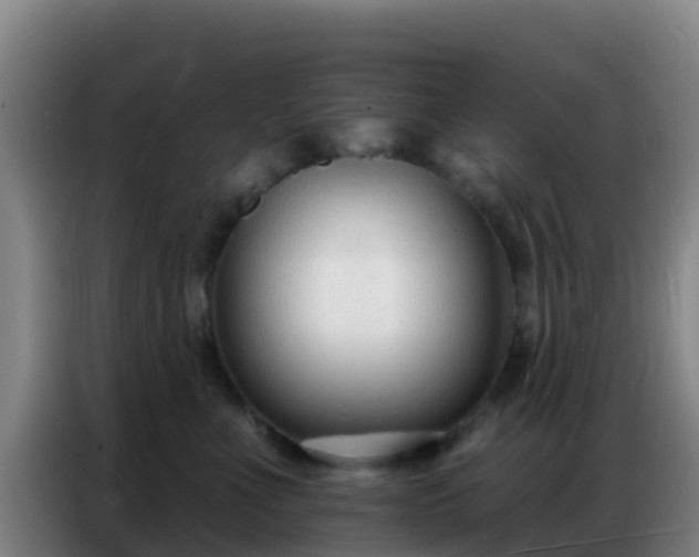 X0000086800523200704201906