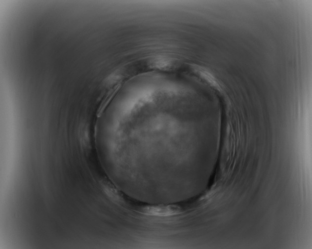 X0000086800524200704201906