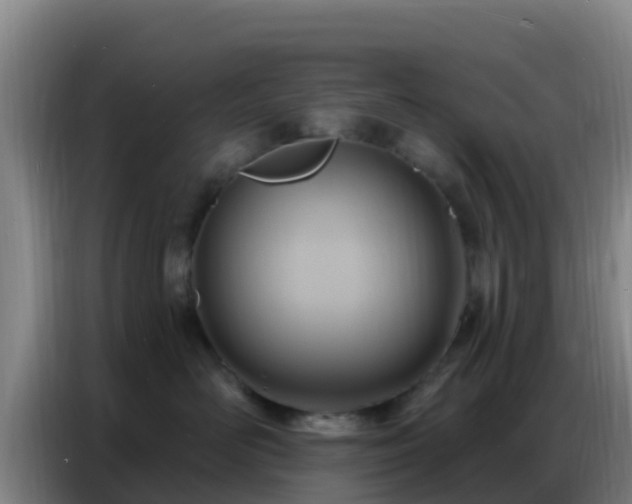 X0000086800526200704201906