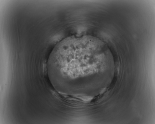 X0000086800527200704201906