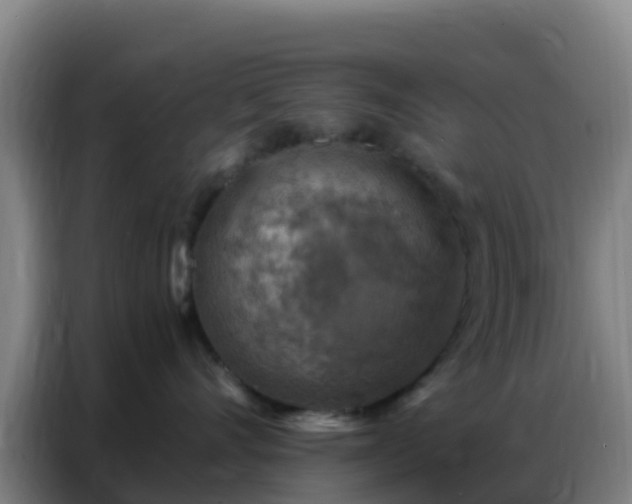 X0000086800528200704201906