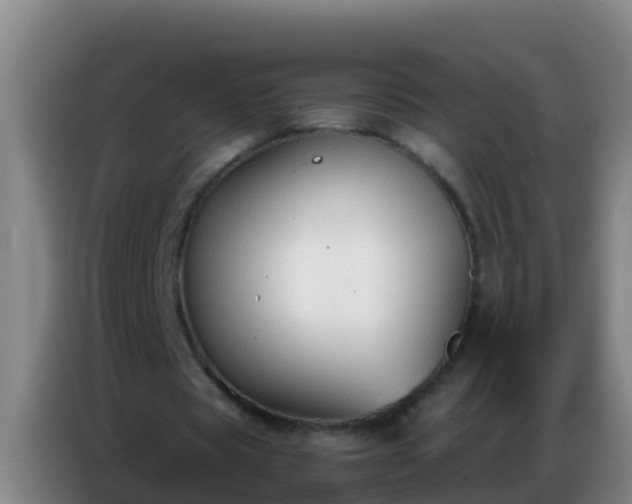 X0000086800529200704201905